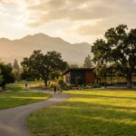 Walnut Creek Just Started Planning the Next 25 Years. Here’s How to Weigh In.