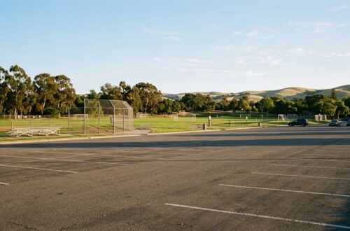 Dublin Sports Grounds Shooting: NYT Games Engineer Killed, In-Laws Held on Murder Charges